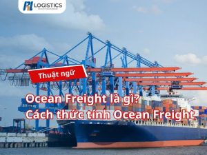 ocean-freight-la-gi