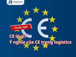 ce-la-gi-thumb
