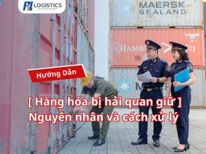hang-hoa-bi-hai-quan-giu-6