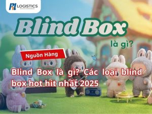 Blind-Box-la-gi-Cac-loai-blind-box-hot-hit-nhat-2025