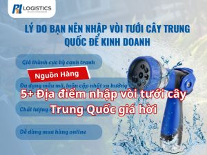 voi-tuoi-cay-trung-quoc-gia-hoi