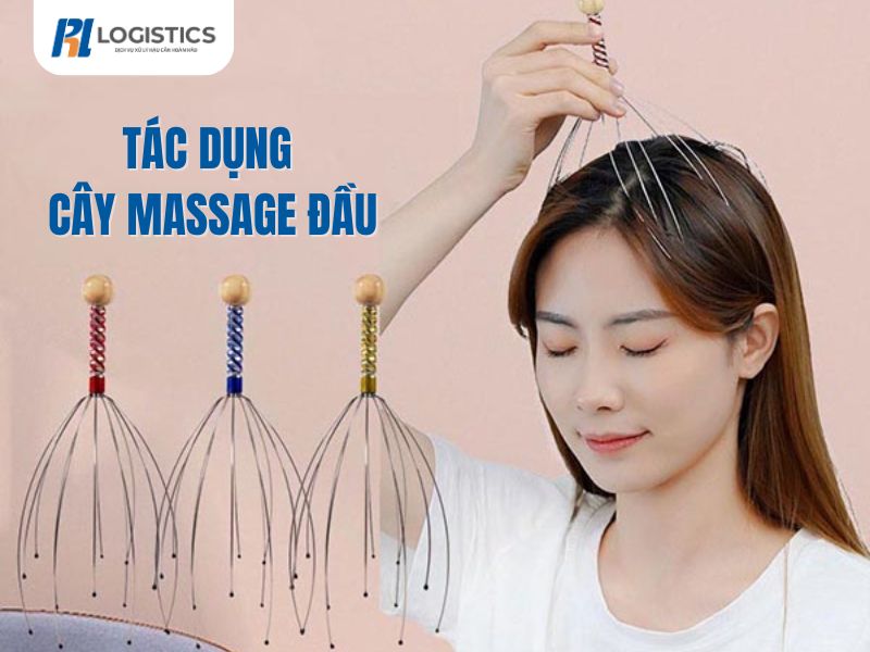 cay-massage-dau-2