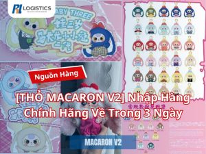 macaron-v2-5