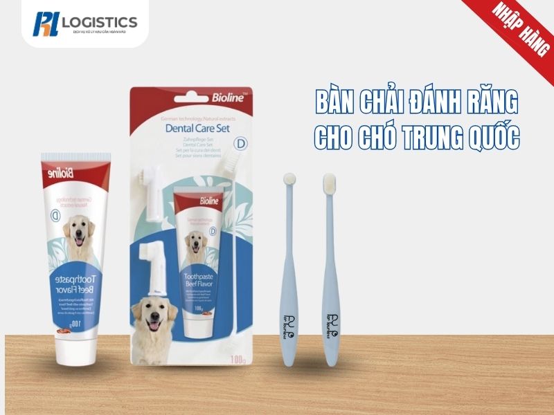 ban-chai-danh-rang-cho-cho-trung-quoc-2