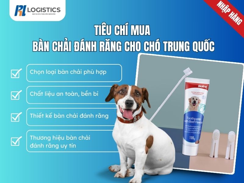 ban-chai-danh-rang-cho-cho-trung-quoc-3