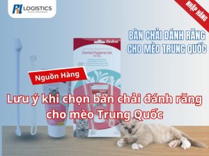 ban-chai-danh-rang-cho-meo-trung-quoc-4