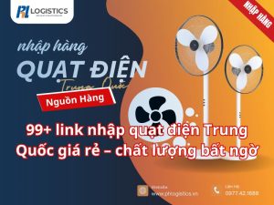 quat-dien-trung-quoc